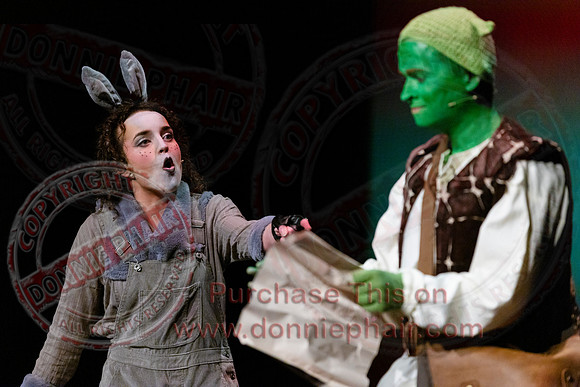 Shrek by FMT - Donnie Phair-94