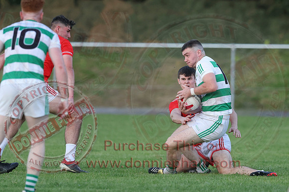 Teemore (3-15) V Newtownbutler (1-06) in Senior GAA Football Division Two-14
