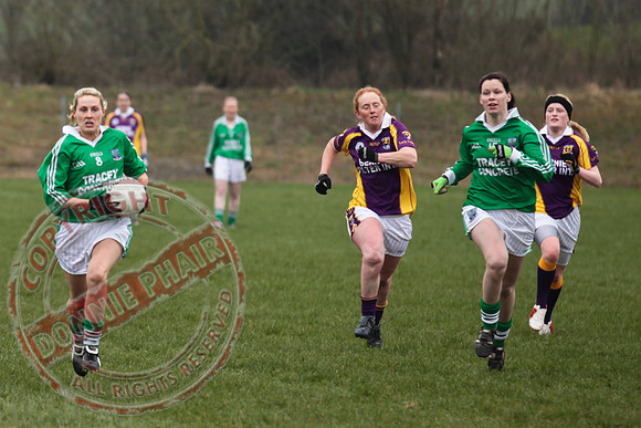 Fermanagh Senior Ladies GAA V Wexford in Teemore