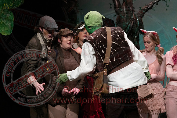 Shrek by FMT - Donnie Phair-65