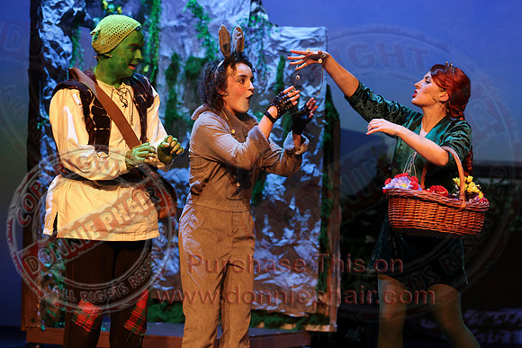 Shrek by FMT - Donnie Phair-357