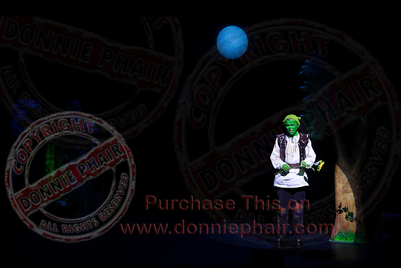 Shrek by FMT - Donnie Phair-509