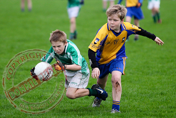 Roslea V Enniskillen Gaels in U12 GAA Football B Final.