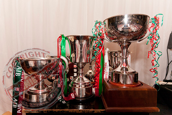 Lisnaskea Emmetts GAA Club Dinner Dance and Presentation Night in the Donn Carragh hotel.
