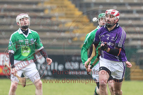Fermanagh (1-16) V Fingal (3-13) in National Hurling League Division 3A