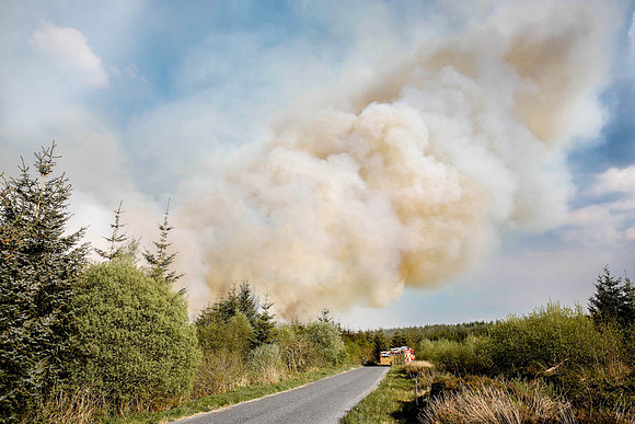 Gorse and Forest Fire at Mullaghfad Forest
