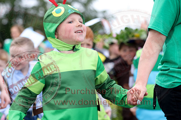 Fermanagh Fleadh Cultural Community Parade in Roslea-10