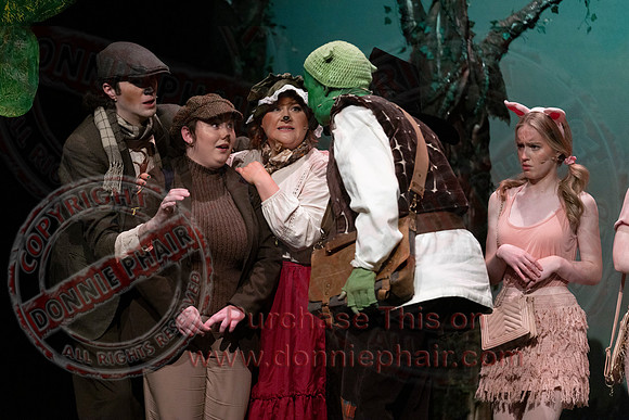 Shrek by FMT - Donnie Phair-66