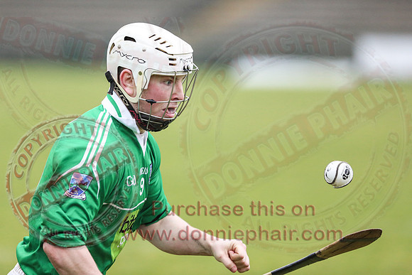 Fermanagh (1-16) V Fingal (3-13) in National Hurling League Division 3A