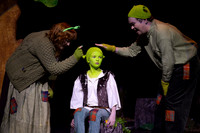 Shrek by FMT - Donnie Phair-20