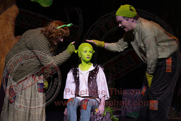 Shrek by FMT - Donnie Phair-20