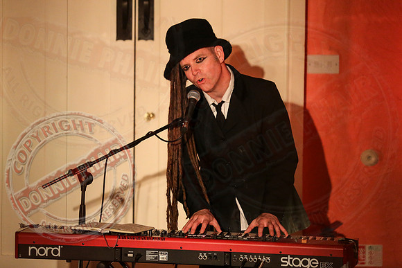 Islander Festival - Music in Belle Isle Estate