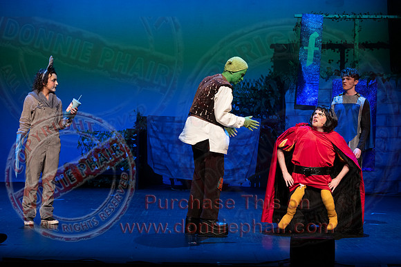 Shrek by FMT - Donnie Phair-165