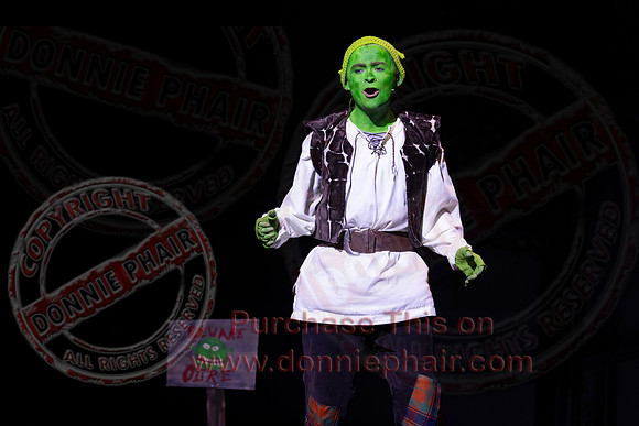 Shrek by FMT - Donnie Phair-26