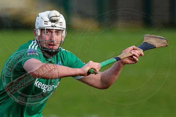 Fermanagh V Warwickshire Hurling