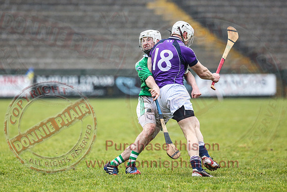 Fermanagh (1-16) V Fingal (3-13) in National Hurling League Division 3A