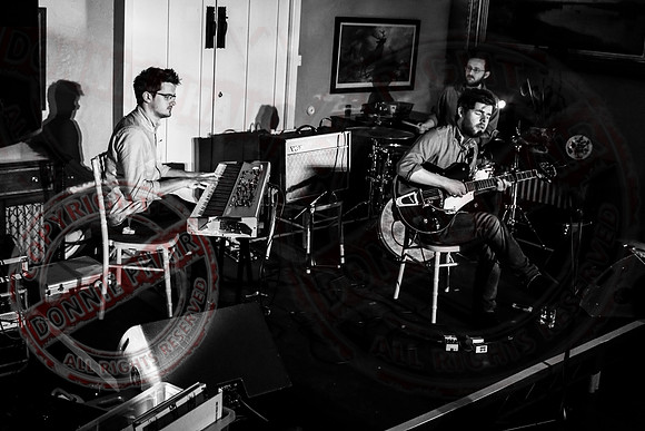 Islander Festival - Music in Belle Isle Estate