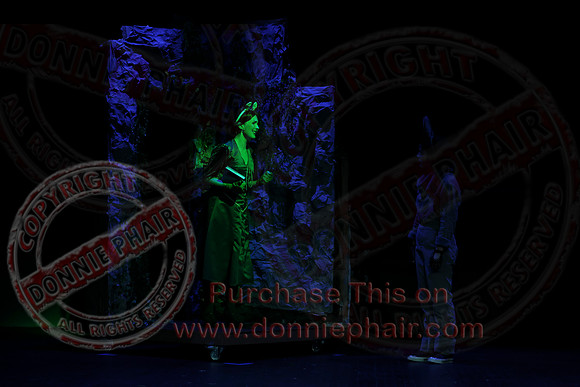 Shrek by FMT - Donnie Phair-498