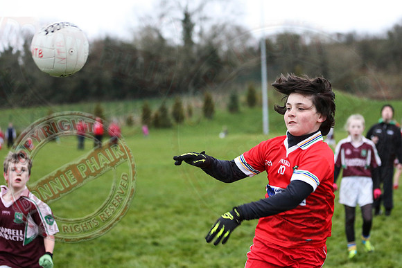 Dundas Shield GAA Tournament for U12 in Lisnaskea.