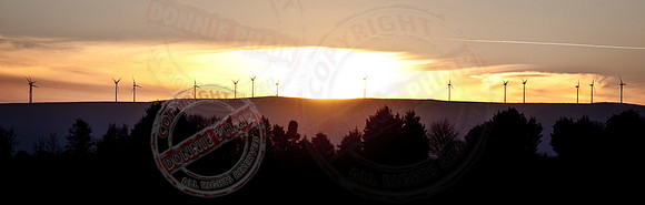 "Windmills in the Sunset"