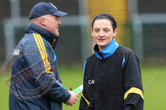 Fermanagh (4-10) V Roscommon (3-17) in Allianz National Football League Division 3.