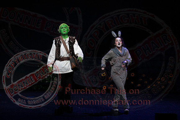 Shrek by FMT - Donnie Phair-202