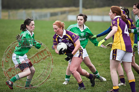 Fermanagh Senior Ladies GAA V Wexford in Teemore