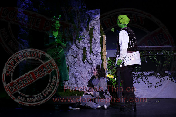 Shrek by FMT - Donnie Phair-511