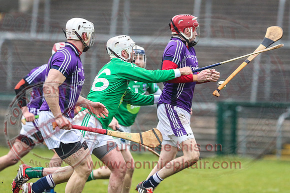 Fermanagh (1-16) V Fingal (3-13) in National Hurling League Division 3A