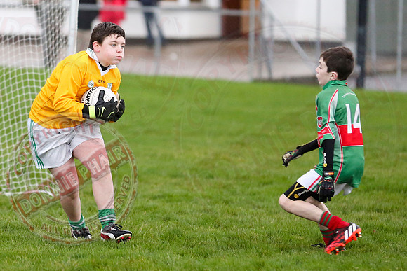 Dundas Shield GAA Tournament for U12 in Lisnaskea.