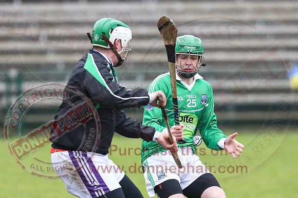 Fermanagh (1-16) V Fingal (3-13) in National Hurling League Division 3A