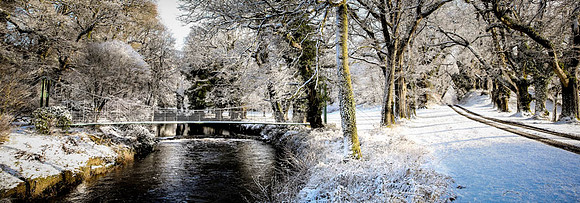 Snowy Landscape at Colebrooke Estate