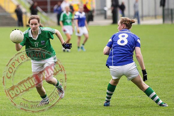 Fermanagh (3-13) V Limerick (3-08) in Senior Ladies GAA Football.