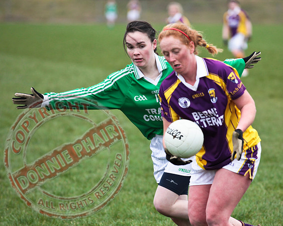 Fermanagh Senior Ladies GAA V Wexford in Teemore