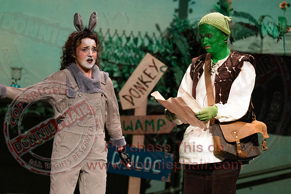Shrek by FMT - Donnie Phair-81