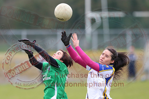 Fermanagh (3-22) V Longford (3-1) in Ladies GAA National Football League Division 3
