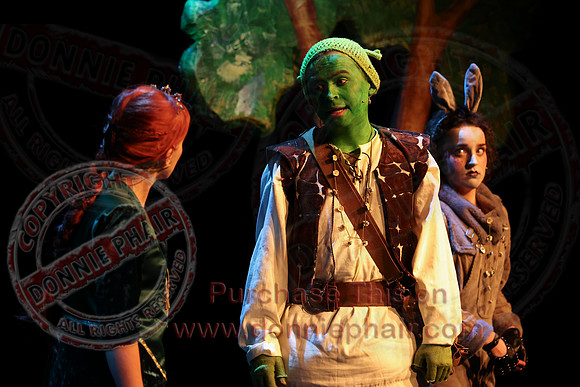 Shrek by FMT - Donnie Phair-365