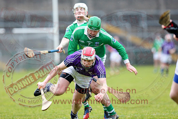 Fermanagh (1-16) V Fingal (3-13) in National Hurling League Division 3A