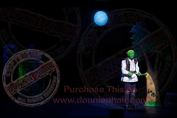 Shrek by FMT - Donnie Phair-508