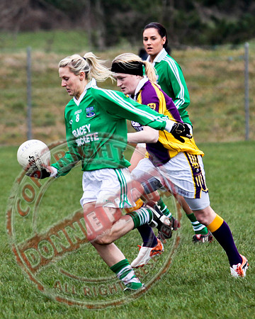 Fermanagh Senior Ladies GAA V Wexford in Teemore