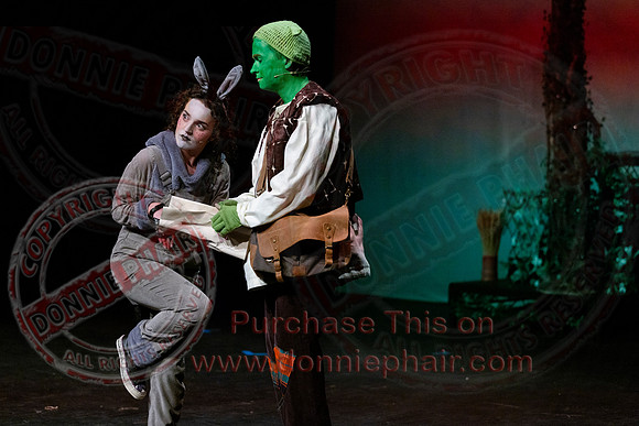 Shrek by FMT - Donnie Phair-98