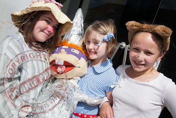 Kesh Festival - Fancy Dress Parade.