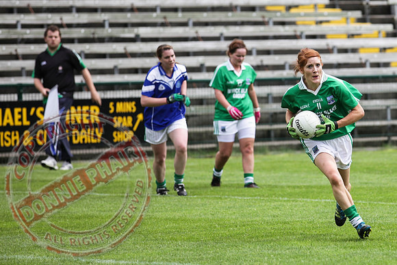 Fermanagh (3-13) V Limerick (3-08) in Senior Ladies GAA Football.