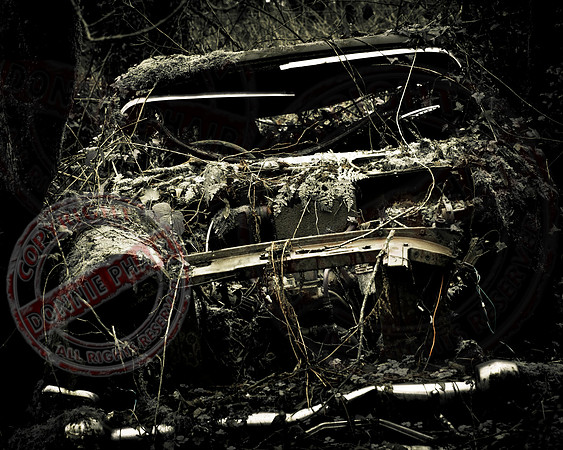 "Nature Reclaims"