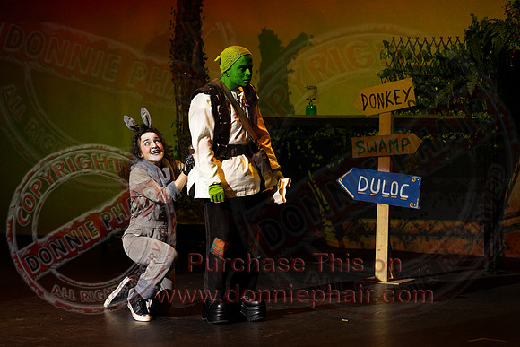 Shrek by FMT - Donnie Phair-115