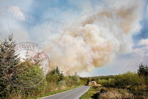Gorse and Forest Fire at Mullaghfad Forest