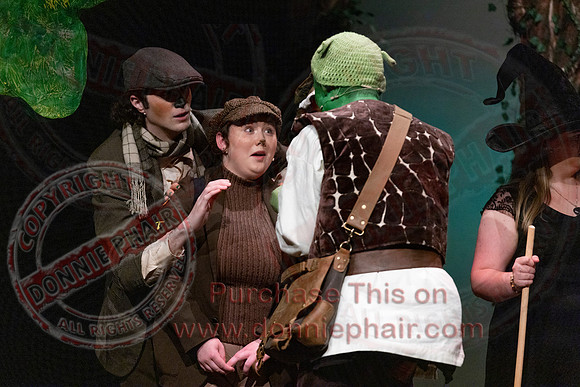 Shrek by FMT - Donnie Phair-67