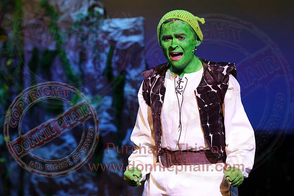 Shrek by FMT - Donnie Phair-530