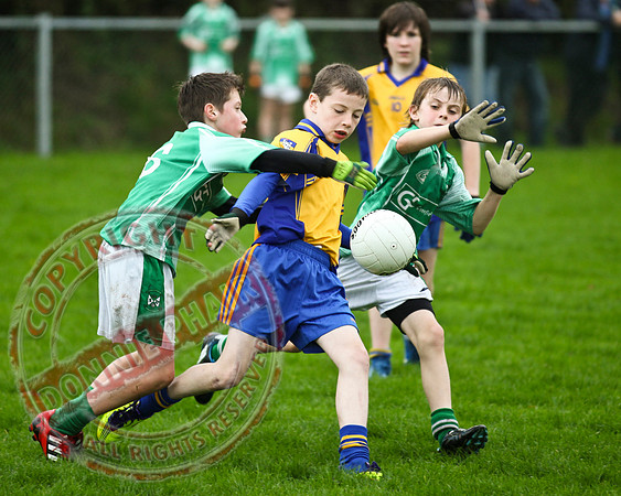 Roslea V Enniskillen Gaels in U12 GAA Football B Final.