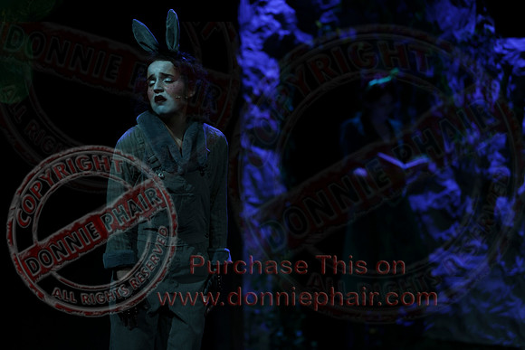 Shrek by FMT - Donnie Phair-496